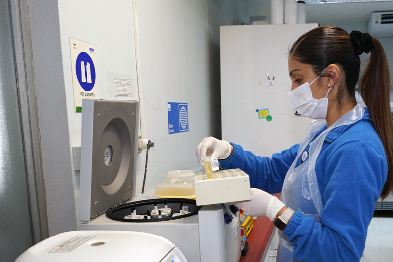 SERVICIO-LABORATORIO-6